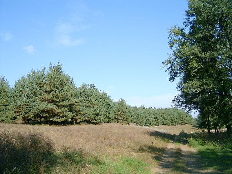 2010.10.10. 061.jpg